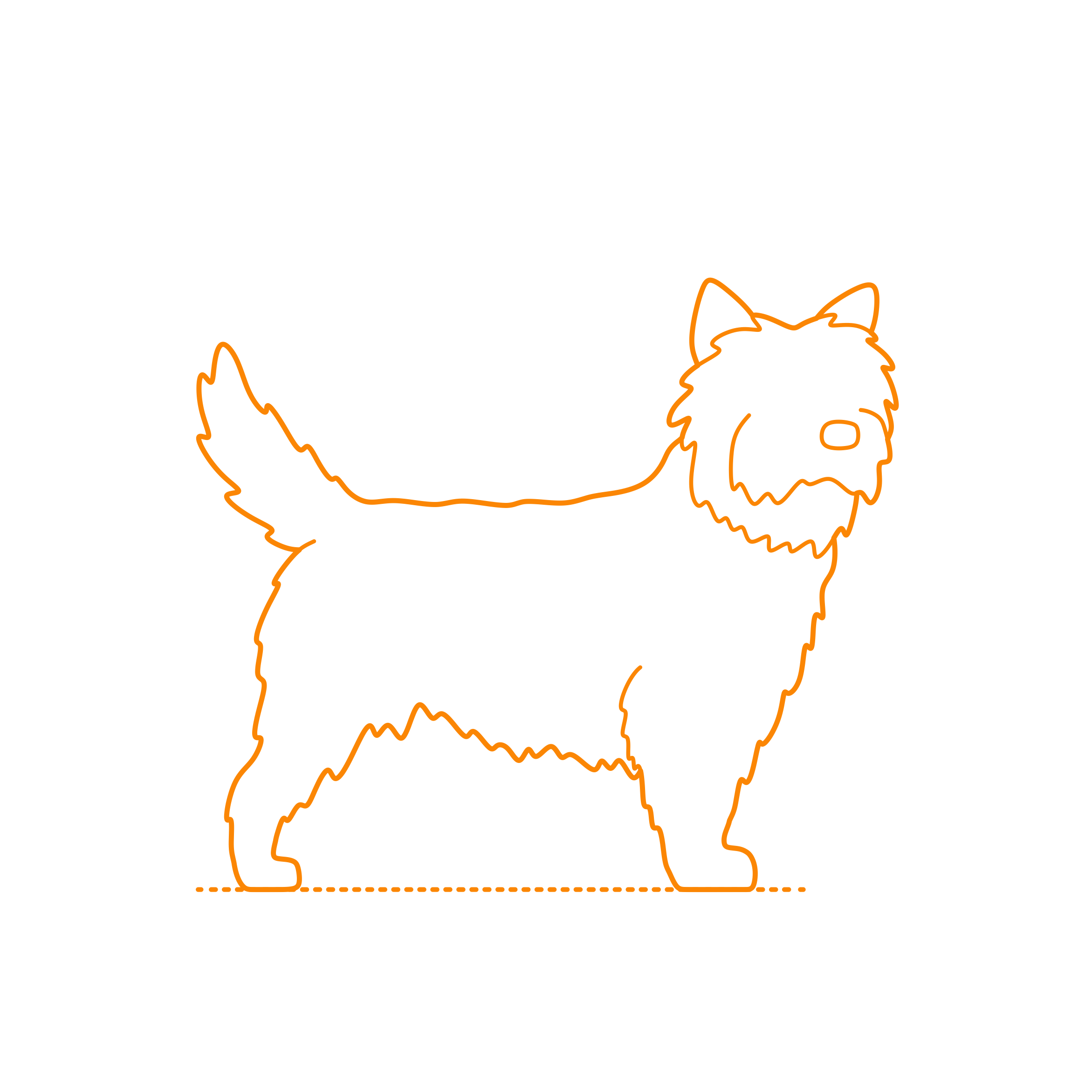 Animals Dogs Cairn Terrier Outline Icon Svg Set Free Vectors